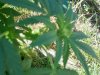 100_2988.jpg