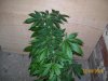 100_1770 [50%].jpg