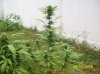 100_0476.jpg