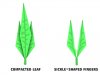 funky-leaf.jpg