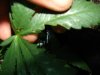 DSC01878.JPG