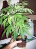 100_0100.jpg