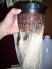 100_0101.jpg