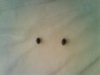 DSC00147.jpg