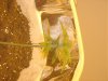 DSC05289.jpg