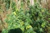 103_3344.jpg