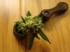 Oct.Harvest2.JPG