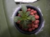 DSCN0640.jpg