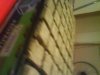 DSC00101.jpg