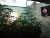 DSC00119.jpg