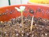 DSCN1120.jpg