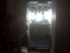 IMG00039.jpg