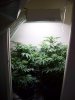 100_0124.jpg