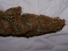 100_2953.jpg