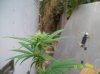 100_0728.jpg