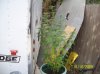 100_0722.jpg