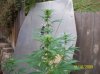 100_0724.jpg