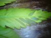DSC00106.jpg