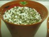 plant2.jpg