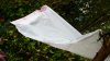 Outdoor Grow Journal 017.jpg