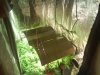 DSC00004.jpg