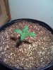 Day thirteen small1.jpg