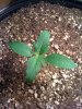 Day thirteen small3.jpg
