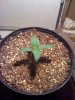 Day thirteen big1.jpg