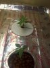 100_1594.jpg