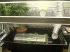 feb07 085.jpg