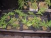feb07 087.jpg