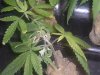 feb07 088.jpg