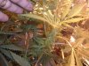 feb07 092.jpg