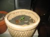 Picture 001.jpg