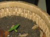 plant2.jpg