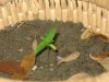 plant8.jpg