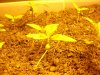 DSC01544.JPG