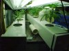 83344d1087401690-super-cheap-ultrasonic-aeroponic-mvc-001f.jpg
