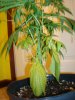 DSC02059.JPG