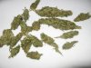 nuggets_002.jpg