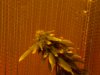 CIMG0753.jpg
