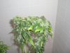 CIMG0762.jpg