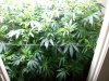 100_0153.jpg