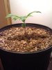 Day eighteen small2.jpg