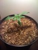 Day eighteen small3.jpg