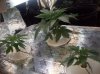 100_1657.jpg