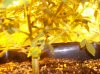 100_3233.jpg