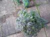 100_3294.jpg