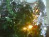 PICT0010.jpg