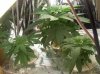 100_1699.jpg